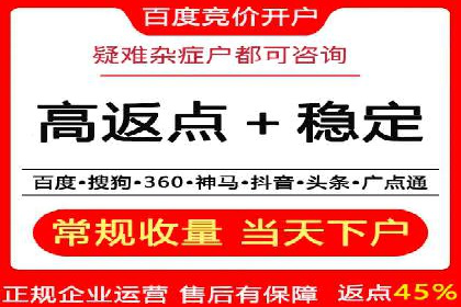 经典案例：专业SEM托管如何实现ROI最大化